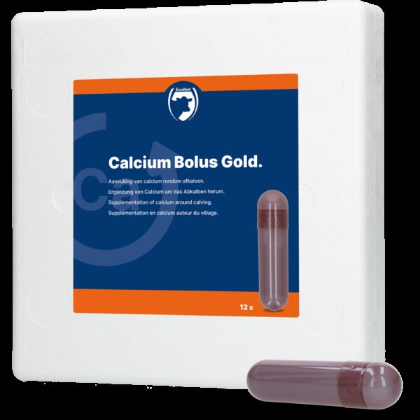 Calcium Bolus Gold - Afbeelding 2