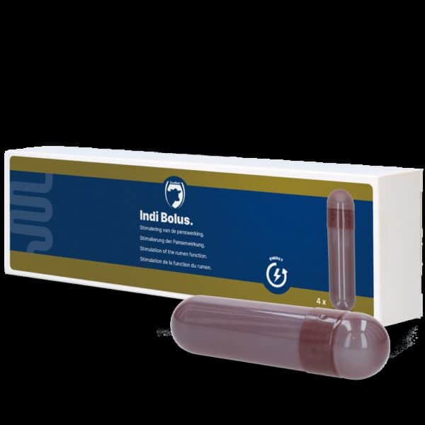 Indi Bolus - Afbeelding 2