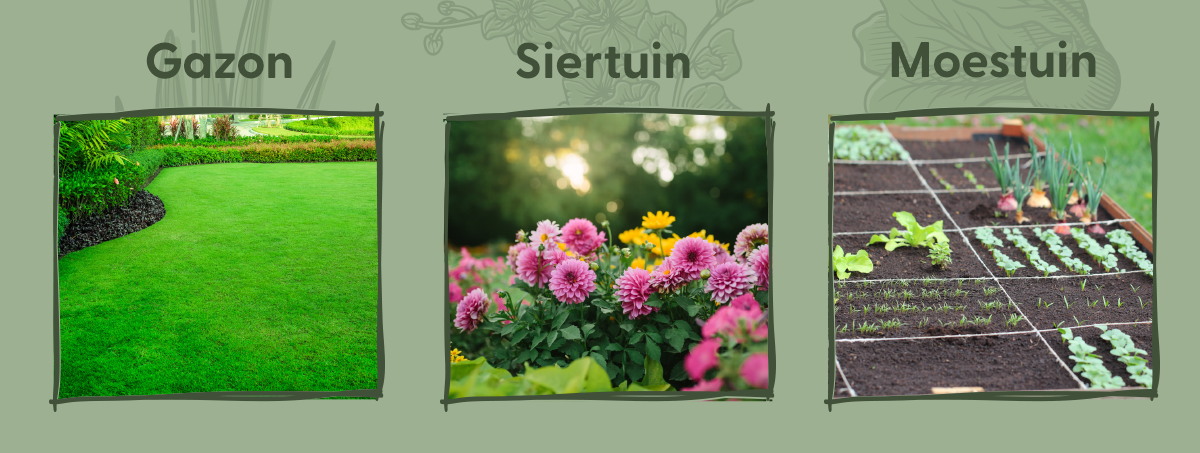 Hofman Garden Care Insectenmest 1 kg, 10