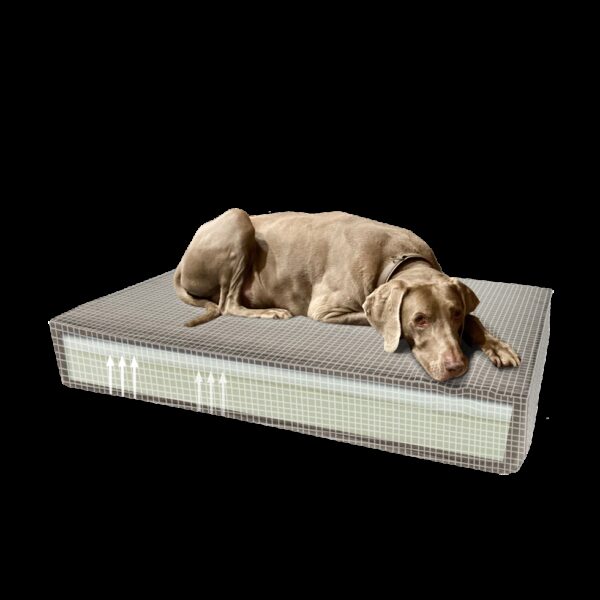 Madison Orthopedisch kussen 45 x 55 taup - Afbeelding 2